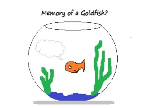 Memory of a goldfish - asthma medication remembering